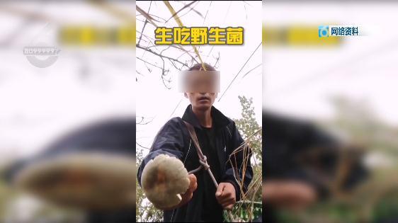 红见手青怎么吃安全「」 参考文献